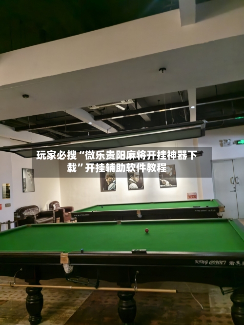 玩家必搜“微乐贵阳麻将开挂神器下载	”开挂辅助软件教程-第2张图片