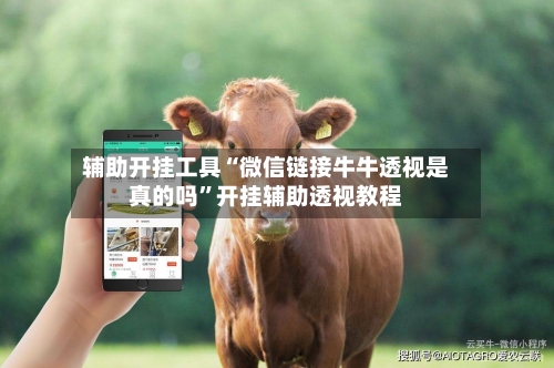 辅助开挂工具“微信链接牛牛透视是真的吗”开挂辅助透视教程-第1张图片