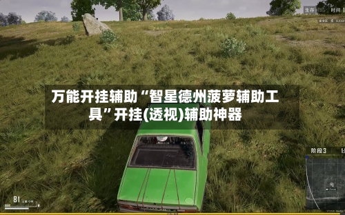 万能开挂辅助“智星德州菠萝辅助工具”开挂(透视)辅助神器-第1张图片