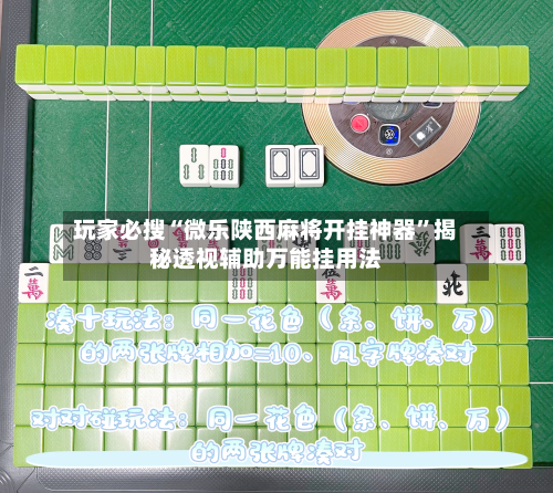 玩家必搜“微乐陕西麻将开挂神器”揭秘透视辅助万能挂用法-第1张图片