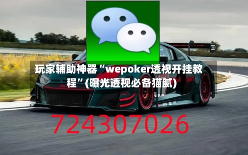 玩家辅助神器“wepoker透视开挂教程”(曝光透视必备猫腻)-第1张图片