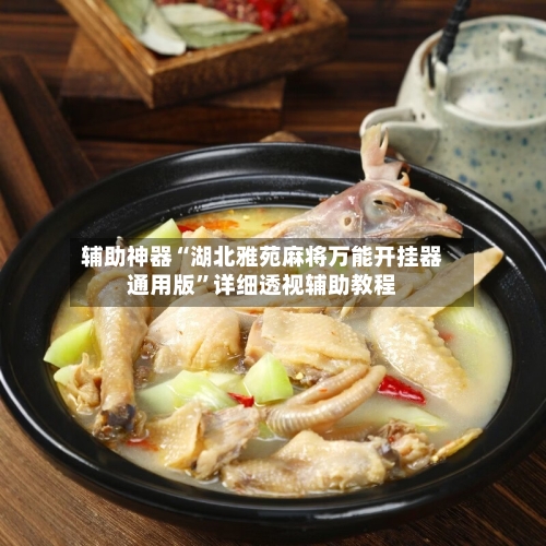 辅助神器“湖北雅苑麻将万能开挂器通用版”详细透视辅助教程-第1张图片