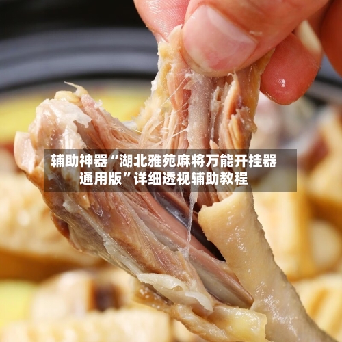 辅助神器“湖北雅苑麻将万能开挂器通用版”详细透视辅助教程-第2张图片