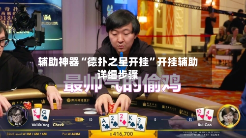 辅助神器“德扑之星开挂”开挂辅助详细步骤-第1张图片