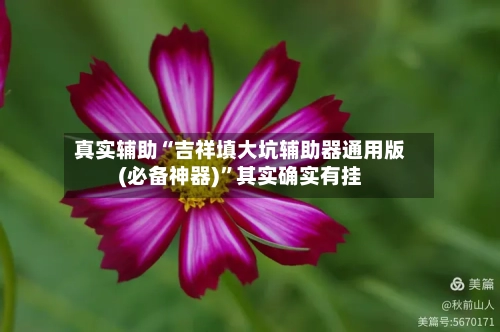 真实辅助“吉祥填大坑辅助器通用版(必备神器)”其实确实有挂-第1张图片