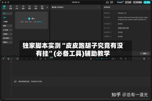 独家脚本实测“皮皮跑胡子究竟有没有挂”(必备工具)辅助教学-第2张图片