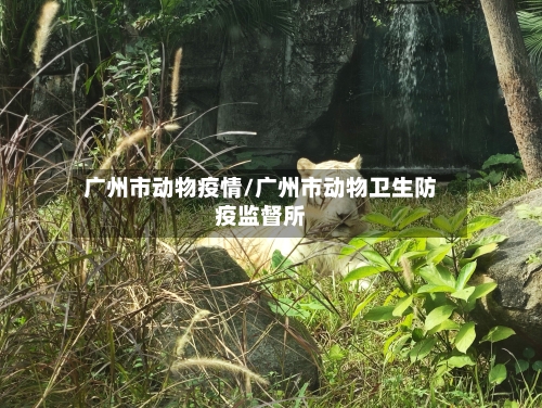 广州市动物疫情/广州市动物卫生防疫监督所-第1张图片