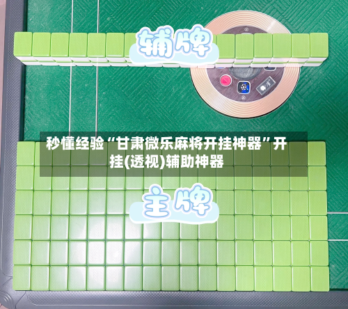 秒懂经验“甘肃微乐麻将开挂神器”开挂(透视)辅助神器-第2张图片