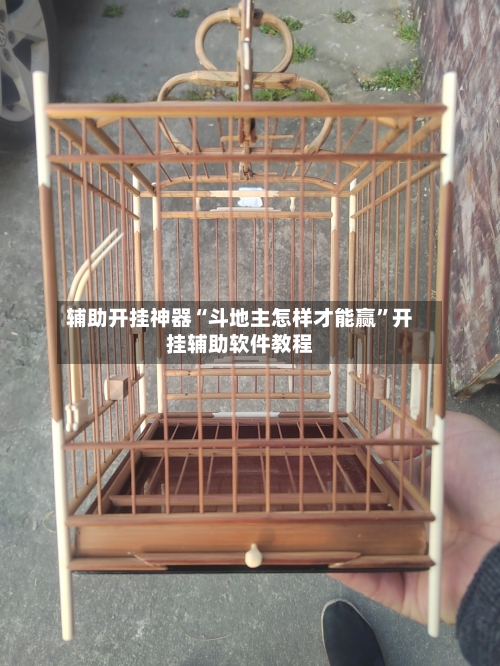 辅助开挂神器“斗地主怎样才能赢”开挂辅助软件教程-第3张图片