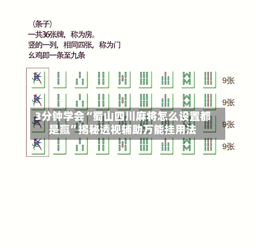 3分钟学会“蜀山四川麻将怎么设置都是赢”揭秘透视辅助万能挂用法-第1张图片