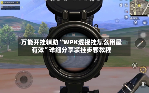 万能开挂辅助“WPK透视挂怎么用最有效”详细分享装挂步骤教程-第2张图片