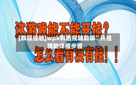 [教程经验]wpk有透视辅助嘛”开挂辅助详细步骤-第1张图片