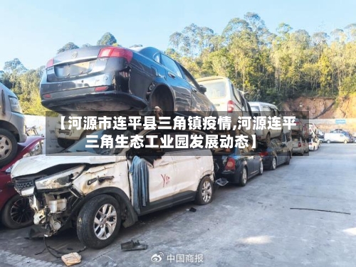 【河源市连平县三角镇疫情,河源连平三角生态工业园发展动态】-第1张图片