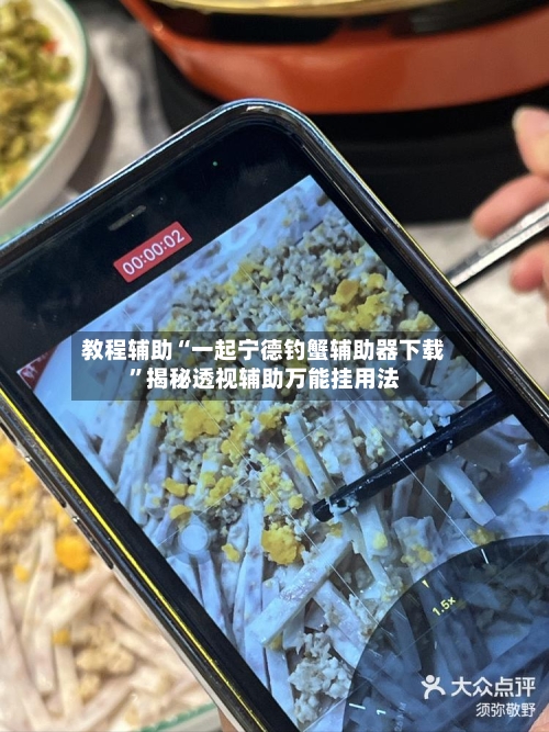 教程辅助“一起宁德钓蟹辅助器下载”揭秘透视辅助万能挂用法-第2张图片
