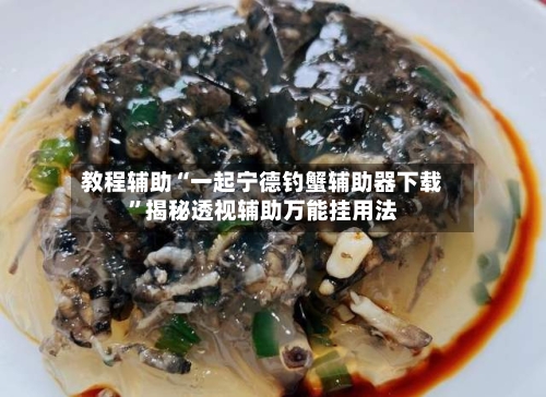 教程辅助“一起宁德钓蟹辅助器下载	”揭秘透视辅助万能挂用法-第1张图片