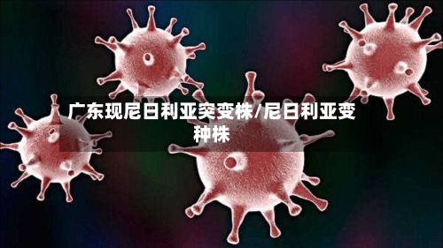 广东现尼日利亚突变株/尼日利亚变种株-第2张图片