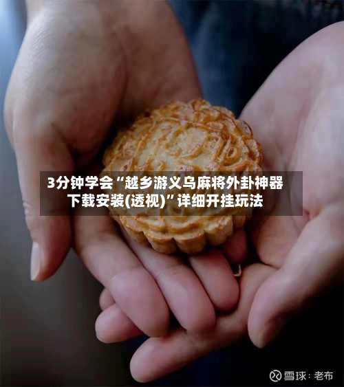 3分钟学会“越乡游义乌麻将外卦神器下载安装(透视)”详细开挂玩法-第2张图片