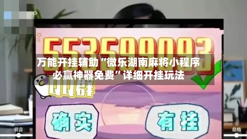 万能开挂辅助“微乐湖南麻将小程序必赢神器免费”详细开挂玩法-第2张图片