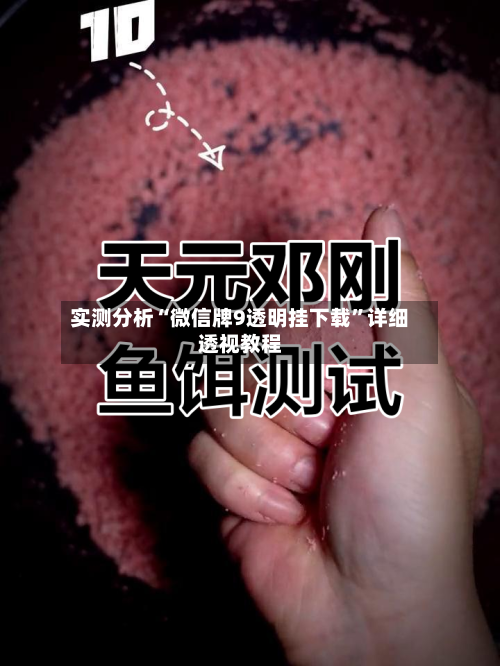 实测分析“微信牌9透明挂下载”详细透视教程-第1张图片