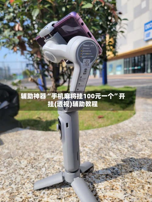 辅助神器“手机麻将挂100元一个”开挂(透视)辅助教程-第1张图片