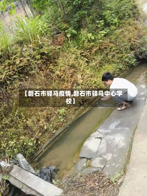 【磐石市驿马疫情,磐石市驿马中心学校】-第1张图片
