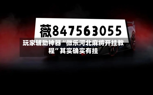 玩家辅助神器“微乐河北麻将开挂教程”其实确实有挂-第1张图片