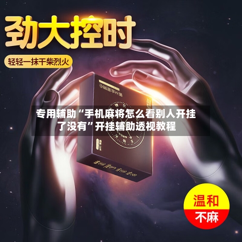 专用辅助“手机麻将怎么看别人开挂了没有”开挂辅助透视教程-第3张图片