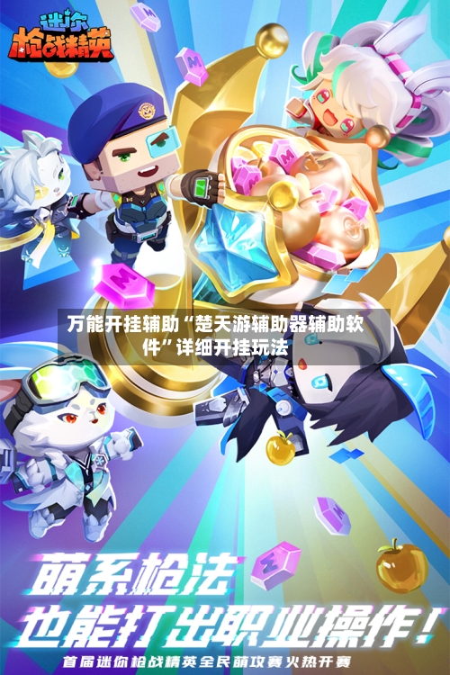 万能开挂辅助“楚天游辅助器辅助软件”详细开挂玩法-第2张图片