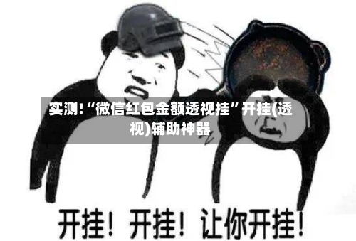 实测!“微信红包金额透视挂”开挂(透视)辅助神器-第2张图片
