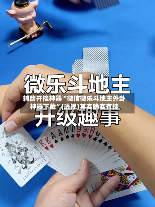 辅助开挂神器“微信微乐斗地主外卦神器下载”(透视)其实确实有挂-第1张图片