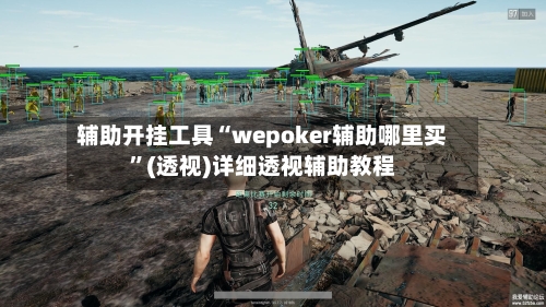辅助开挂工具“wepoker辅助哪里买”(透视)详细透视辅助教程-第1张图片