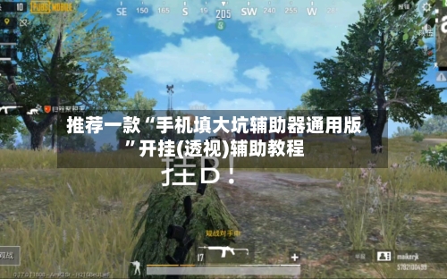 推荐一款“手机填大坑辅助器通用版”开挂(透视)辅助教程-第2张图片