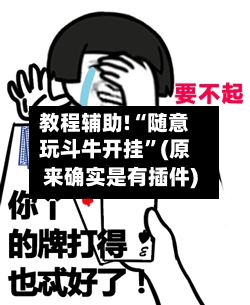 教程辅助!“随意玩斗牛开挂”(原来确实是有插件)-第1张图片