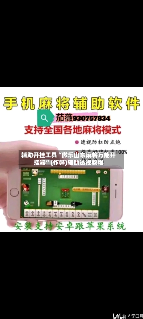 辅助开挂工具“微乐山东麻将万能开挂器	”(作弊)辅助透视教程-第1张图片