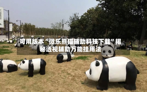 可用版本“微乐熊猫辅助科技下载”揭秘透视辅助万能挂用法-第3张图片