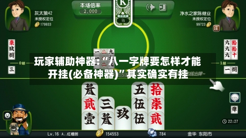 玩家辅助神器:“八一字牌要怎样才能开挂(必备神器)”其实确实有挂-第1张图片