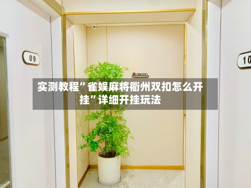 实测教程”雀娱麻将衢州双扣怎么开挂”详细开挂玩法-第2张图片