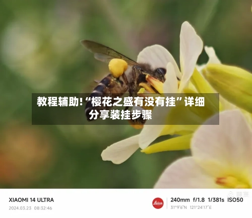 教程辅助!“樱花之盛有没有挂”详细分享装挂步骤-第1张图片