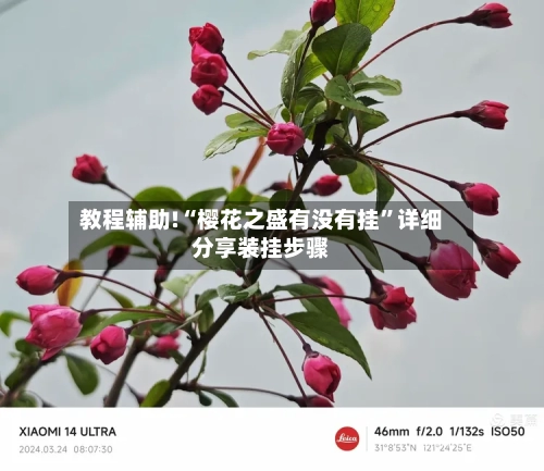 教程辅助!“樱花之盛有没有挂	”详细分享装挂步骤-第3张图片