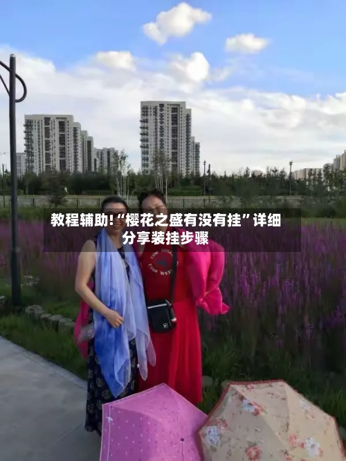 教程辅助!“樱花之盛有没有挂”详细分享装挂步骤-第2张图片