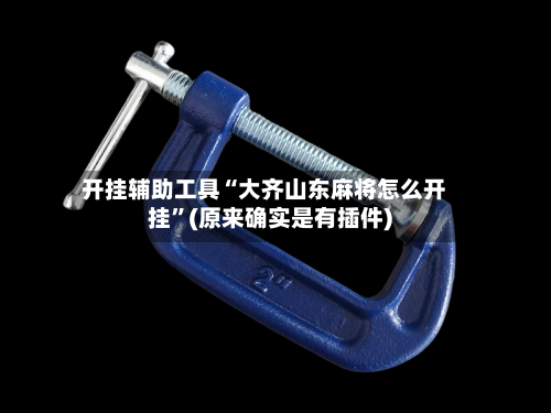 开挂辅助工具“大齐山东麻将怎么开挂”(原来确实是有插件)-第1张图片