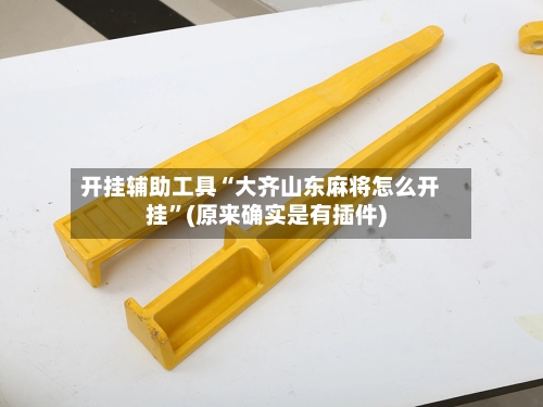 开挂辅助工具“大齐山东麻将怎么开挂	”(原来确实是有插件)-第2张图片