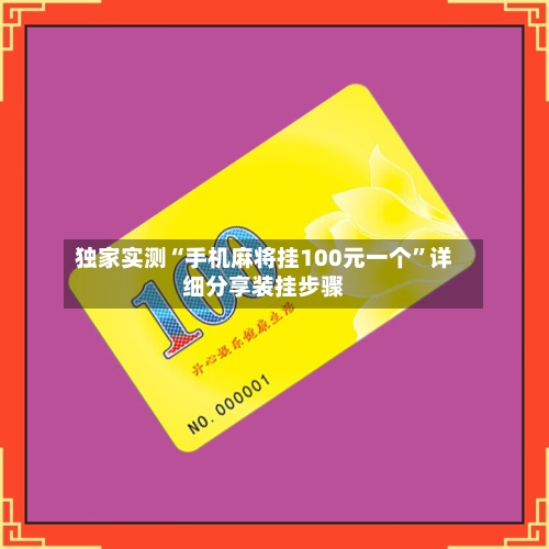 独家实测“手机麻将挂100元一个	”详细分享装挂步骤-第3张图片