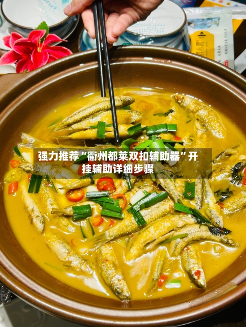 强力推荐“衢州都莱双扣辅助器”开挂辅助详细步骤-第3张图片