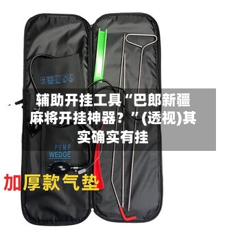 辅助开挂工具“巴郎新疆麻将开挂神器？”(透视)其实确实有挂-第2张图片