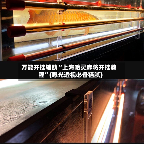 万能开挂辅助“上海哈灵麻将开挂教程”(曝光透视必备猫腻)-第2张图片