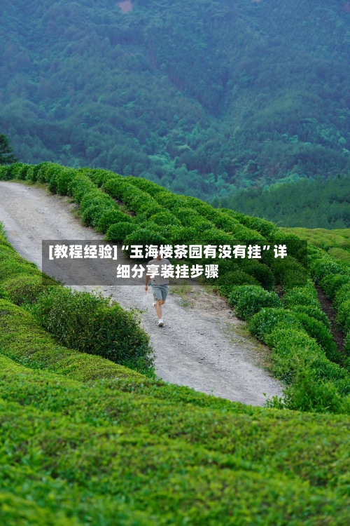 [教程经验]“玉海楼茶园有没有挂	”详细分享装挂步骤-第2张图片