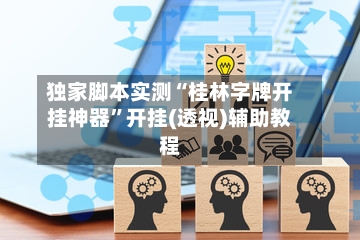 独家脚本实测“桂林字牌开挂神器	”开挂(透视)辅助教程-第3张图片