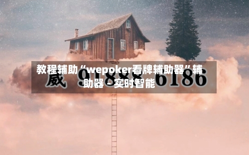 教程辅助“wepoker看牌辅助器”辅助器 - 实时智能-第2张图片
