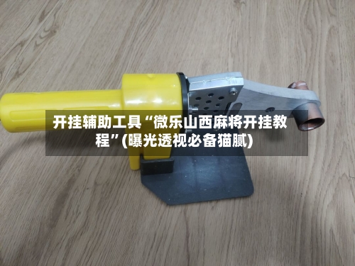 开挂辅助工具“微乐山西麻将开挂教程	”(曝光透视必备猫腻)-第3张图片